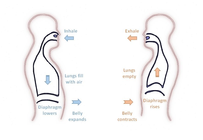 Qué es la respiración diafragmática y por qué debo hacerla