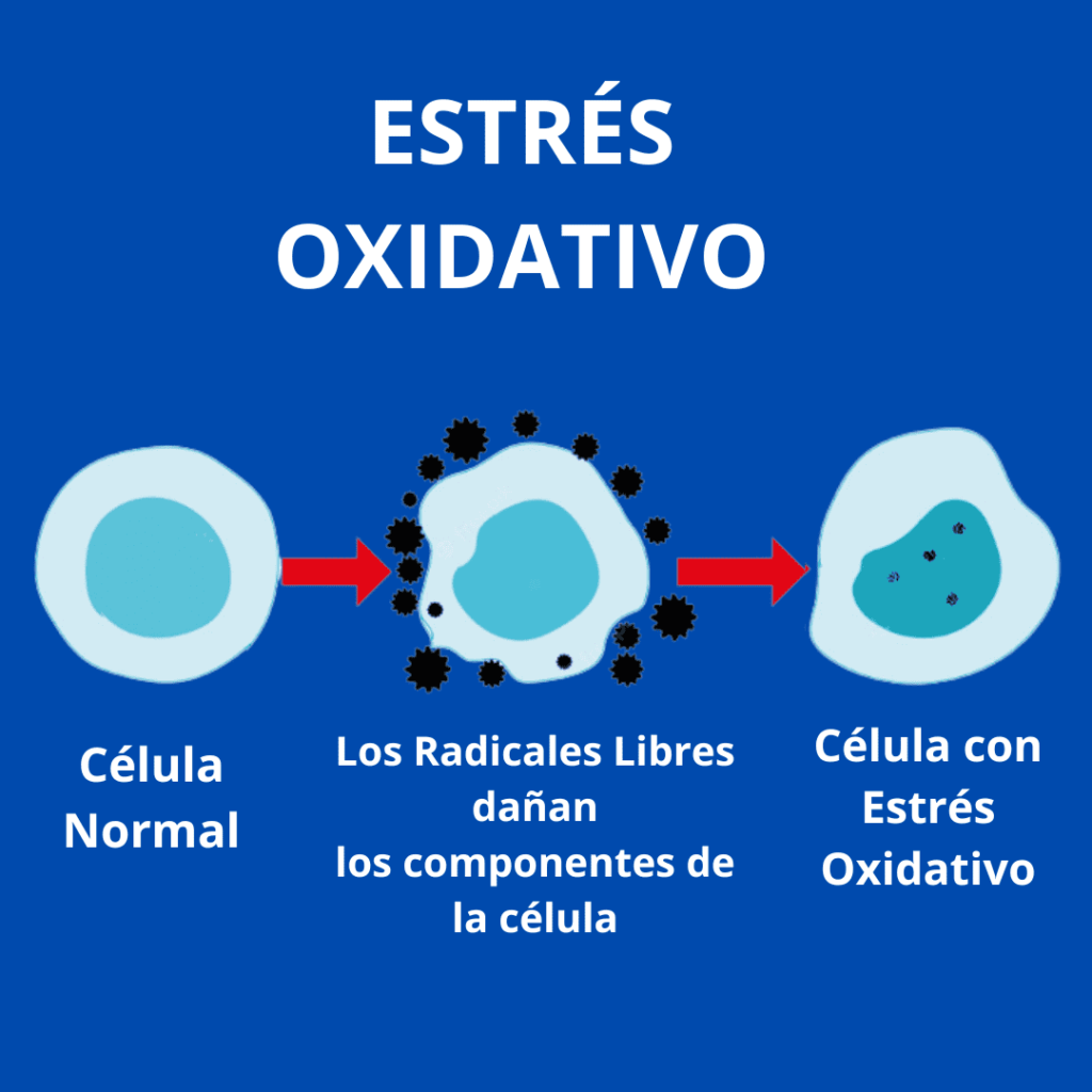Celulaestres1