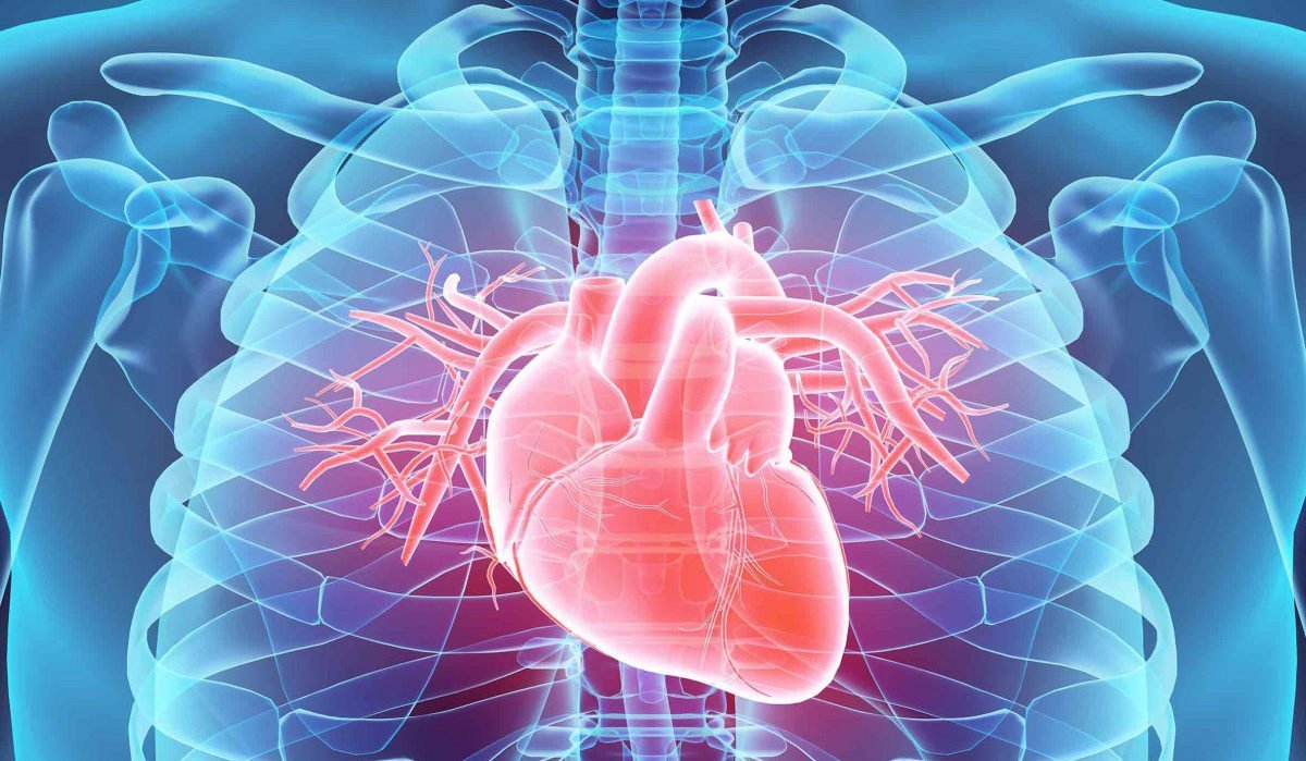 heart1-e1629730334784